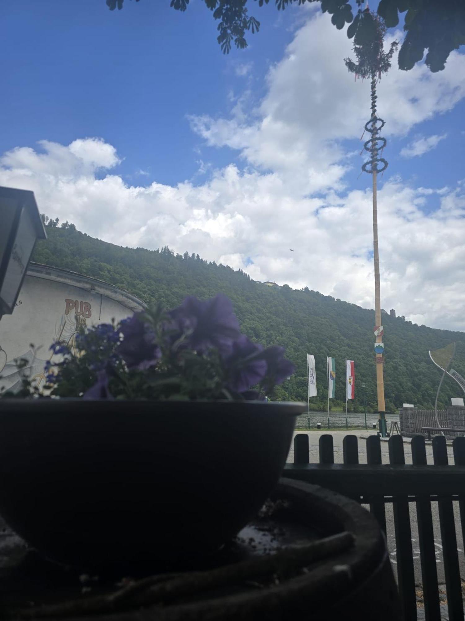 Gasthof Zum Schiffmeister Wesenufer 외부 사진