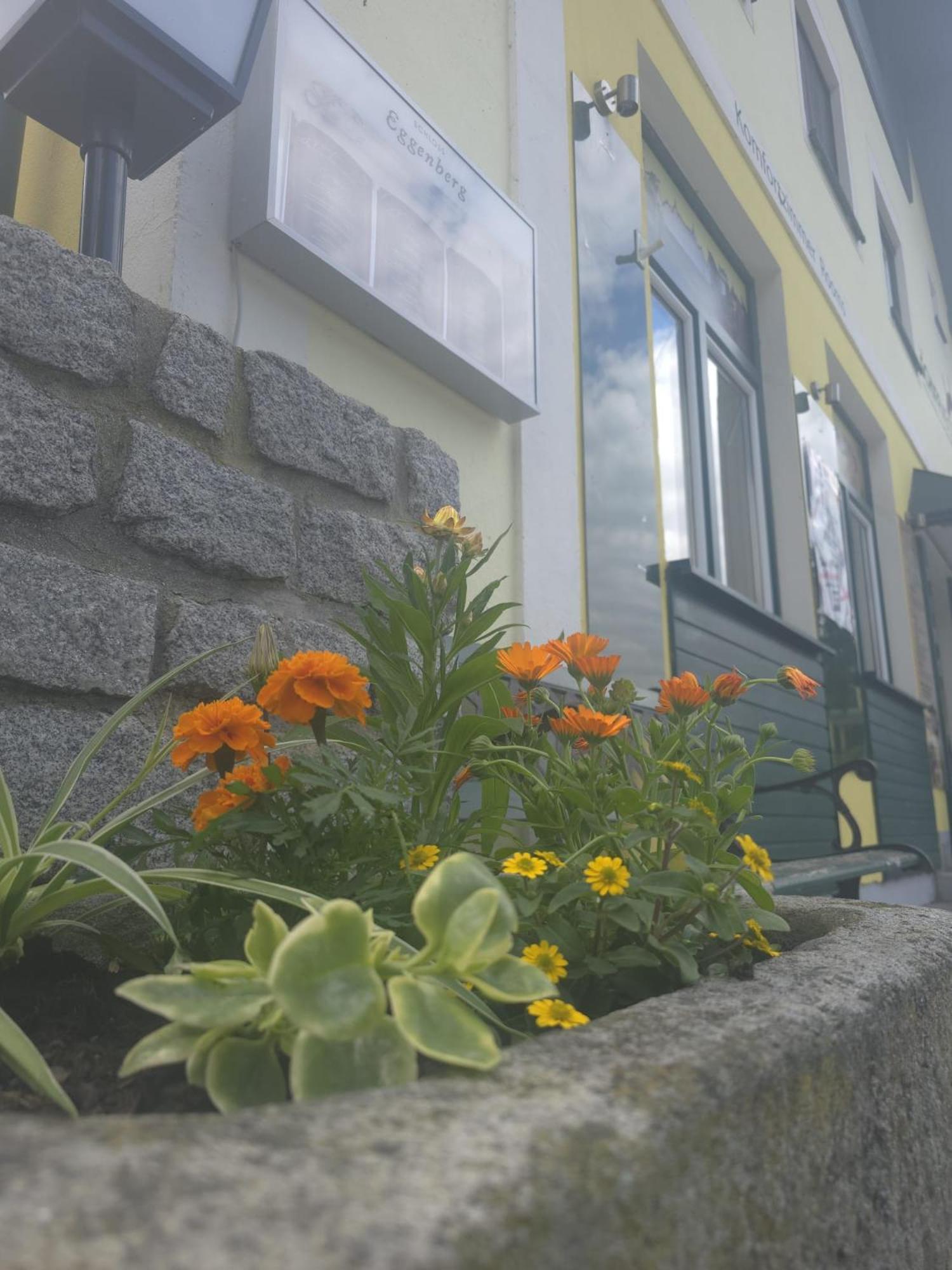 Gasthof Zum Schiffmeister Wesenufer 외부 사진